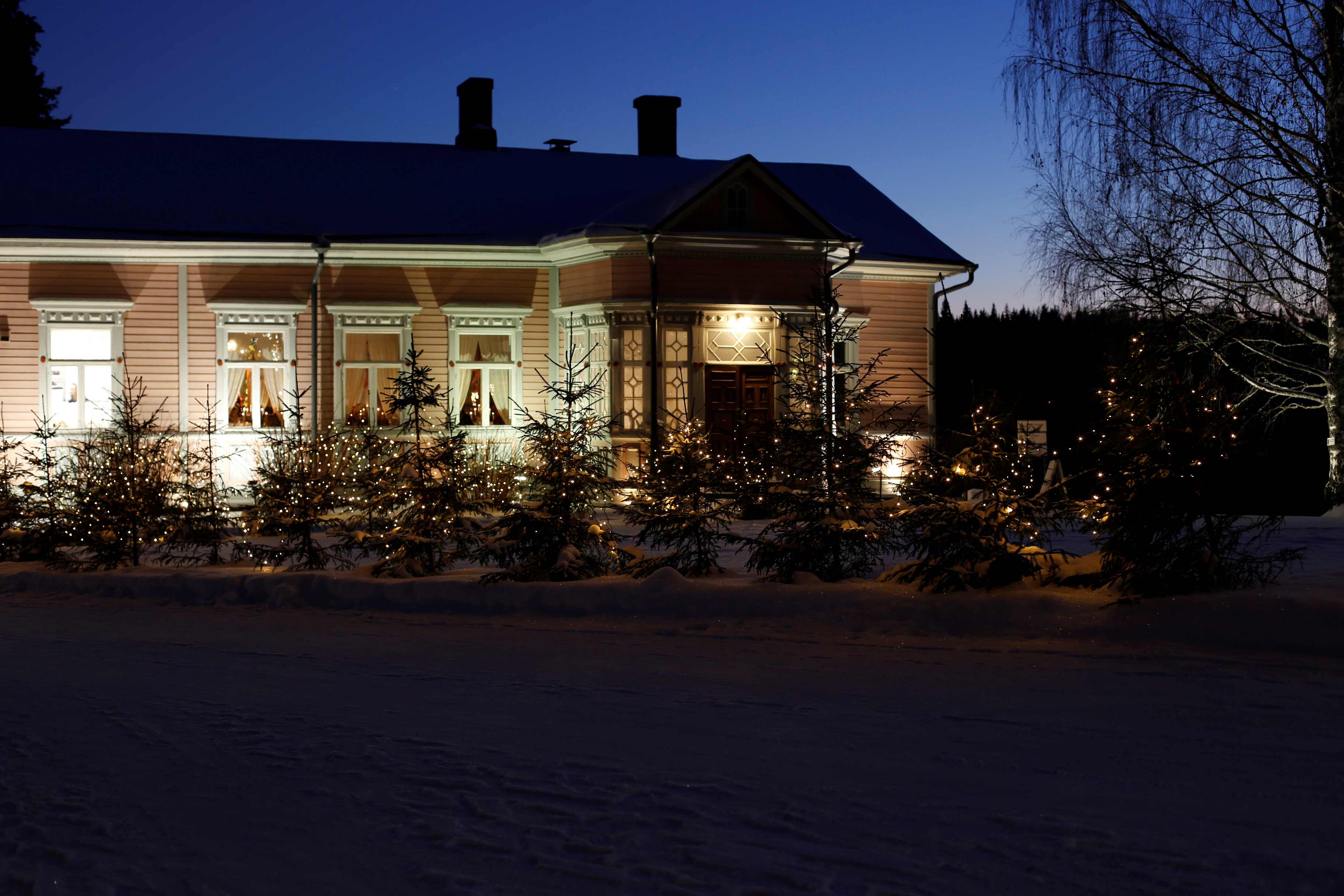 Tuotekuva tuotteelle 100 päivää jouluun - Yöpyminen ja lounas Puutarhakahvilassa 100€